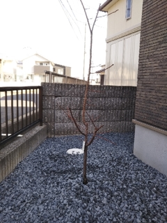 20200223095412719.jpg