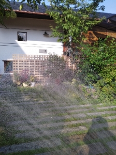 20200805224343528.jpg