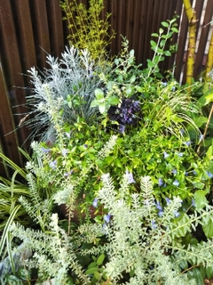 20200805224351405.jpg