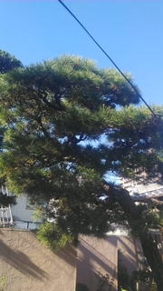 20201207225316437.jpg