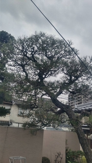 20201207225345148.jpg