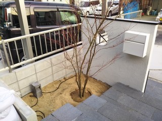 20201222_201222_7.jpg