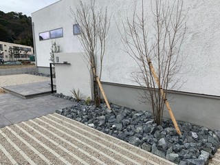 坂本邸_200625_0007.jpg