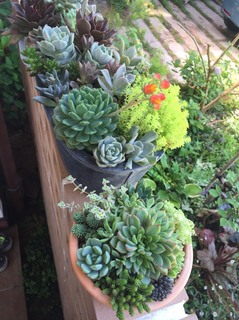S__1409030.jpg