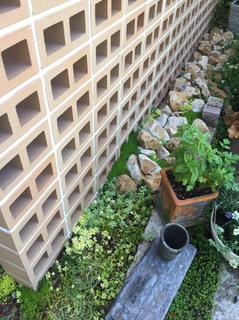 S__1409031.jpg
