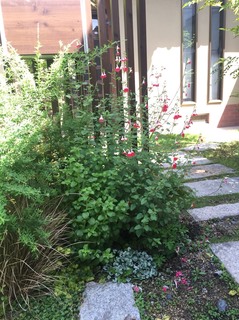 S__1409032.jpg