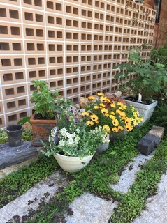 S__1409033.jpg
