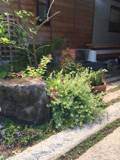 S__1409034.jpg