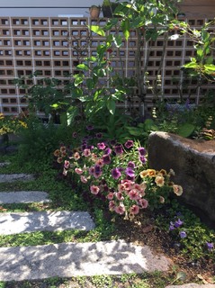 S__1409035.jpg
