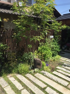 S__1409036.jpg