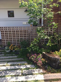 S__1409037.jpg