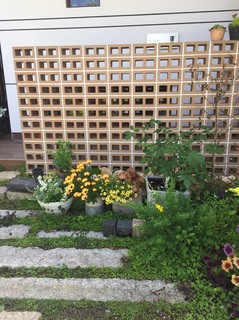 S__1409038.jpg