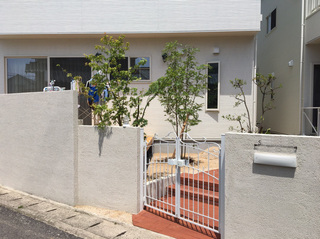S__1564675.jpg