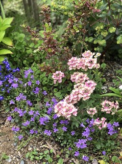 S__1646600.jpg
