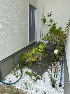 line_2139117961896385.jpg